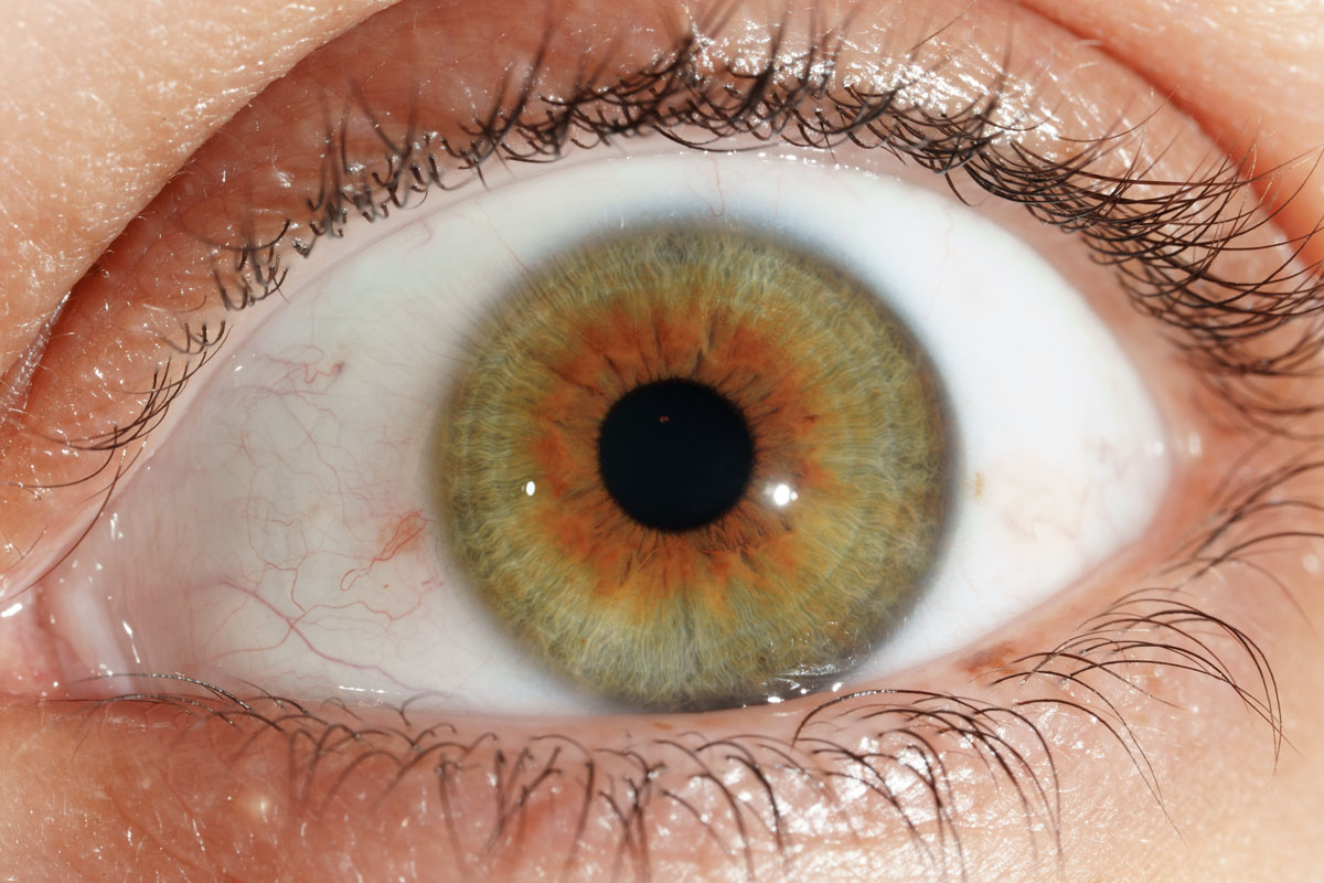 Macro-photographie d'iris