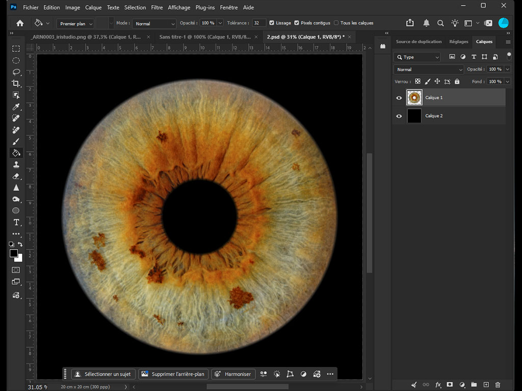 Iris isolé et traité dans Photoshop